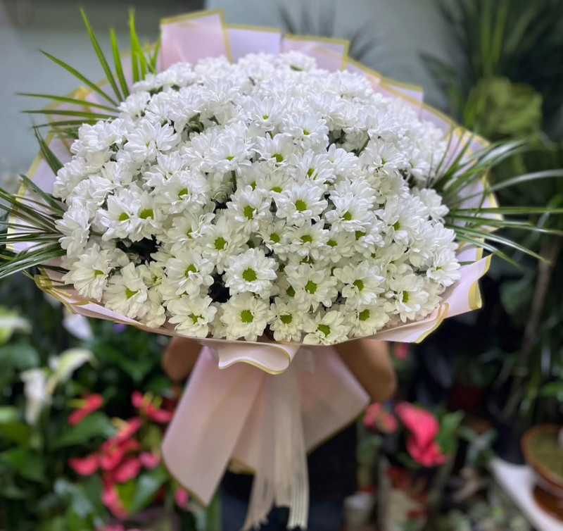 KUCAK DOLUSU BEYAZ PAPATYALAR