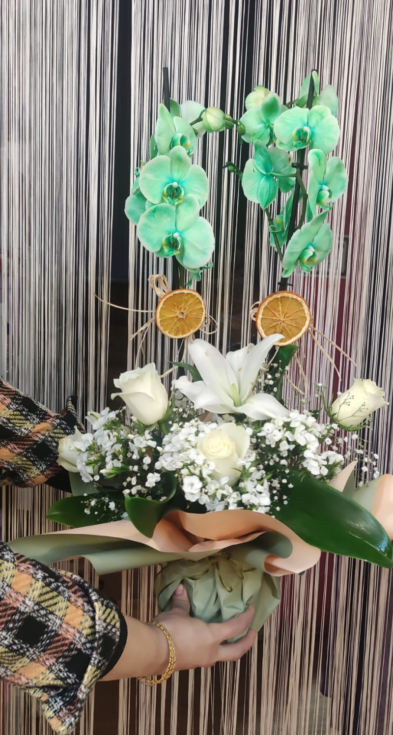 YEŞİL ORKİDE ARAJMAN